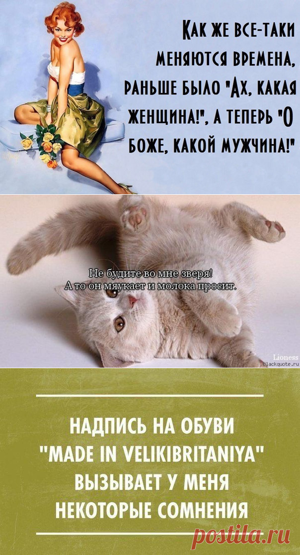 Забавные фразы и веселые выражения! - ОБЩЕНИЕ И ВСЕ САМОЕ ИНТЕРЕСНОЕ. - Группы Мой Мир