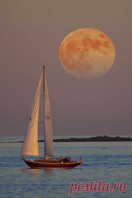 (10) Pinterest