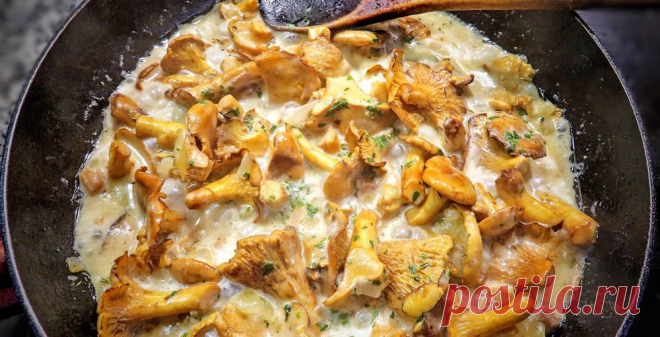 Pfifferling-Rahmsauce: Cremiges Rezept mit veganer Variante | Utopias Rezeptwelt