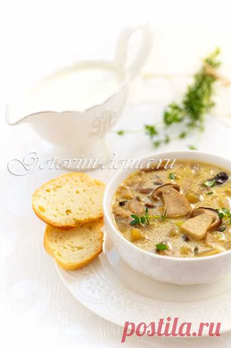 Суп с белыми грибами и сливками | Вкус жизни