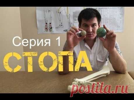 Первая серия. Стопа. Как поэтапно восстановить позвоночник и суставы