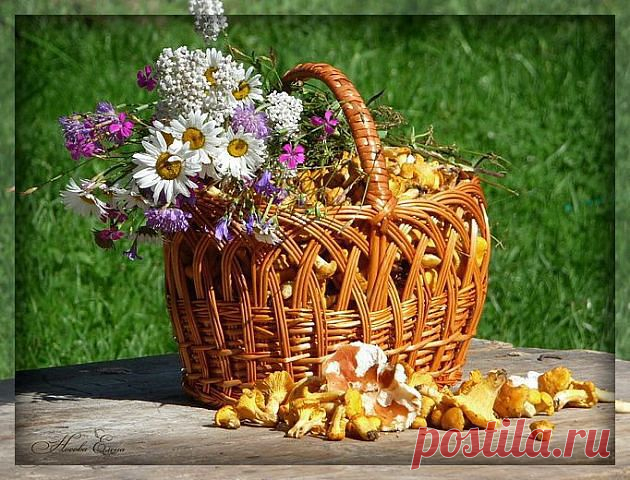 Приложение "Открытки"
AYNPES  KUZEI HAVATAL  MEKIN ----