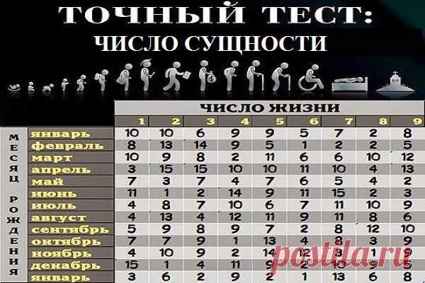 Всё самое интересное!: ЧИСЛО СУЩНОСТИ