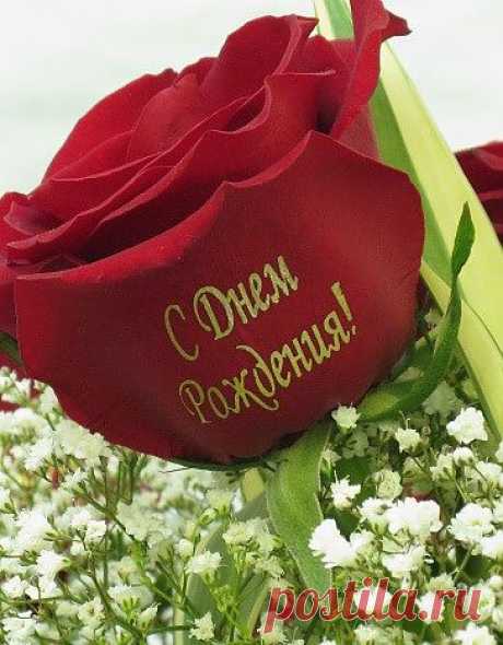 Надписи на цветах
Флористический фломастер.

Владельцам цветочного бизнеса флористический  фломастер  позволит предложить новую еще малоизвестную флористическую услугу. 
Арт-фломастерами «FANTASY FLOWER» можно наносить  надписи  и изображения прямо на лепестки цветов  любой расцветки.  Выглядит это очень необычно и привлекательно.  Выполненные   надписи не только придадут цветам торжественный и оригинальный вид, но и будут хорошо смотреться на лепестках любого оттенка. Главное, чтобы на цвет