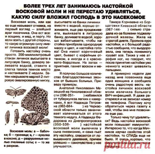 Настойка восковой моли