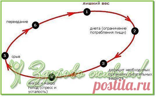 Почему не работают диеты?