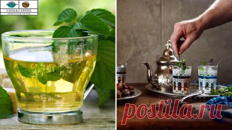 Невероятно, но факт. 6 видов чая для здорового пищеварения