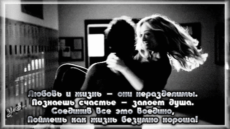 13900834.gif (800×450)