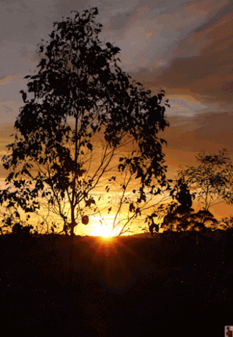 GiF WORLD – Landspaces – Сообщество – Google+