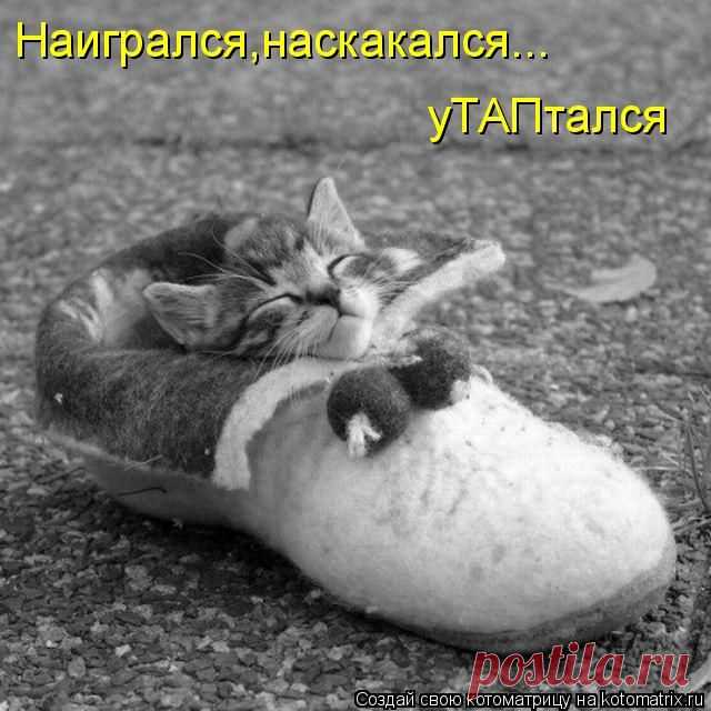 Котоматрица: Круть