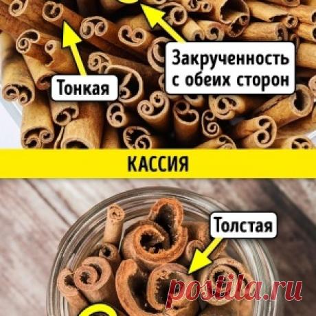 Салаты по-корейски: 5 рецептов!