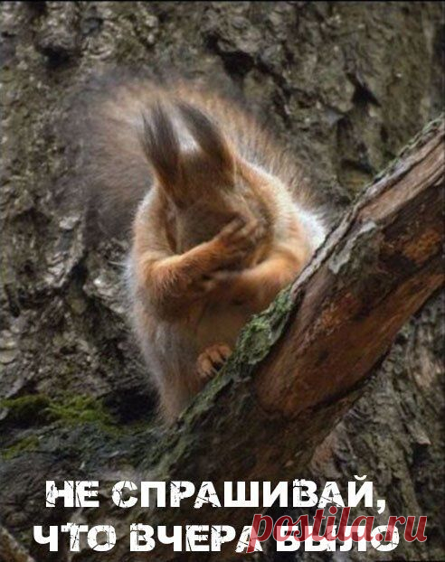 (2042) Pinterest