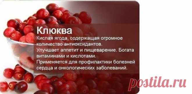 КОМПОТ | Журнал со вкусом