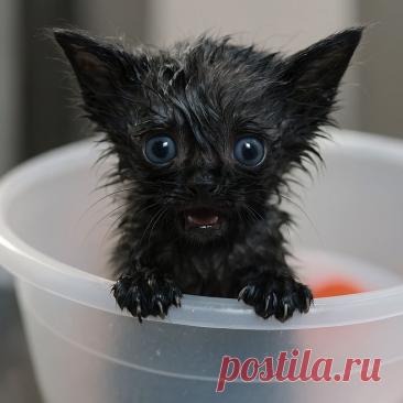 Самый главный подарок - Готовим так!