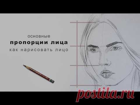 пропорции лица как нарисовать лицо пропорции лица в рисунке