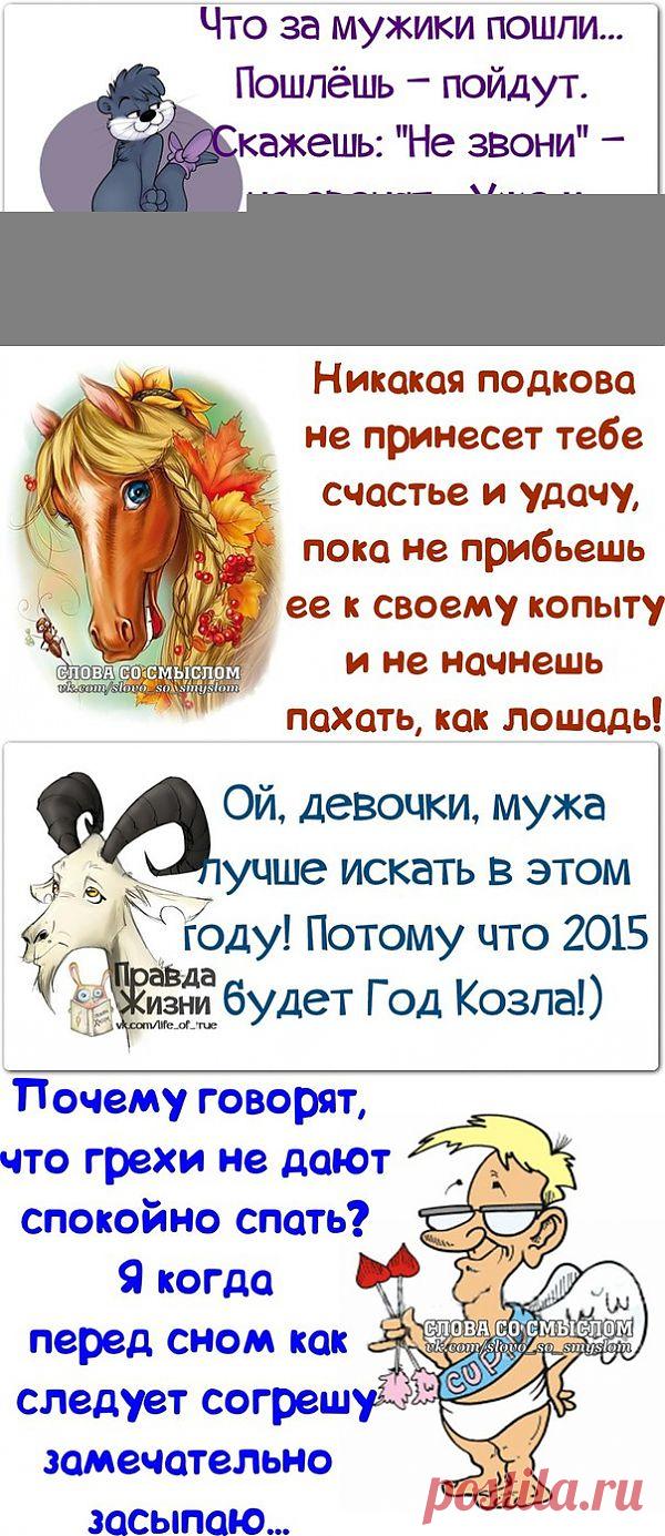 Позитивные, веселые фразочки в картинках.