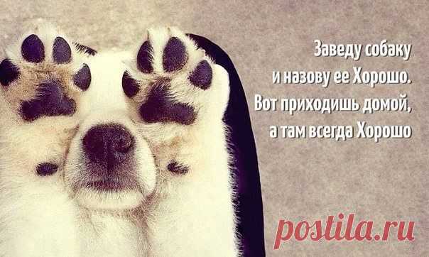 Готова помочь каждому, кто готов немножко поработать, чтобы стать финансово независимым. Домохозяйки, мамы в декрете, студенты и просто активные, амбициозные люди, НАША КОМАНДА ЖДЕТ ВАС!! Записаться на бесплатное обучение можно здесь:  http://frolkova.blogspot.com/   , деньги для входа не нужны! 
Бесплатное обучение, инструменты, программы! Помогу вникнуть в суть дела! Полное сопровождение!