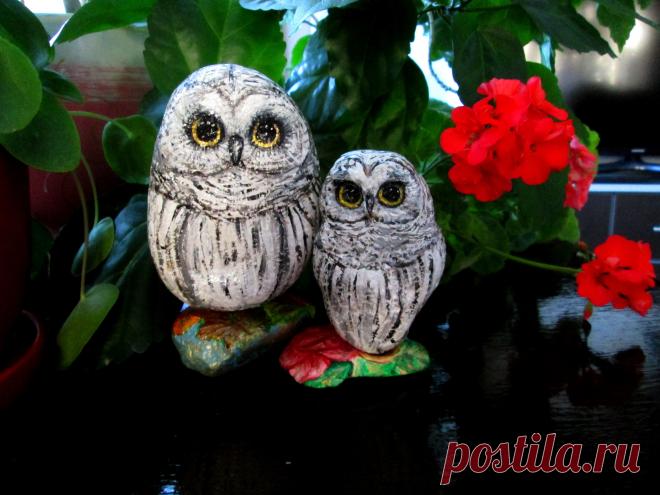 Захотелось себя порадовать....Вот и стоит у меня эта парочка