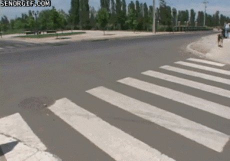 Несколько минут на улыбку ;)