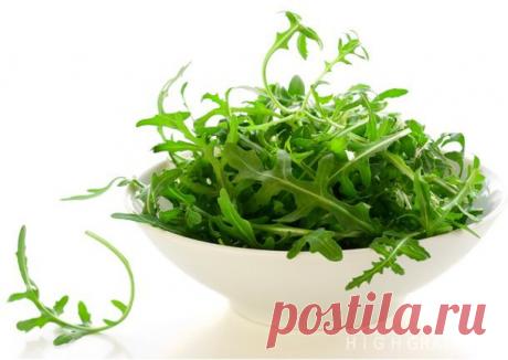 Что такое рукола