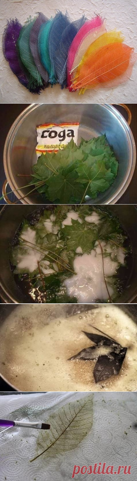 Скелетирование листьев