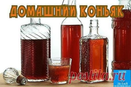 Интересные новости ДОМАШНИЙ КОНЬЯК - ОТЛИЧНАЯ ЗАГОТОВКА НА ЗИМУ)))