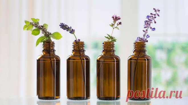 Что делать, если пропал запах при коронавирусе? | Масло Дыши