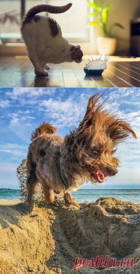 Картинки и фотографии на просторах интернета