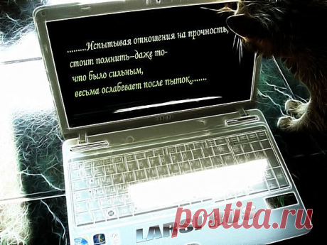 Из мыслей на стенках