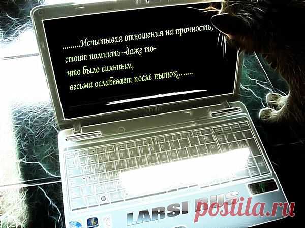 Из мыслей на стенках