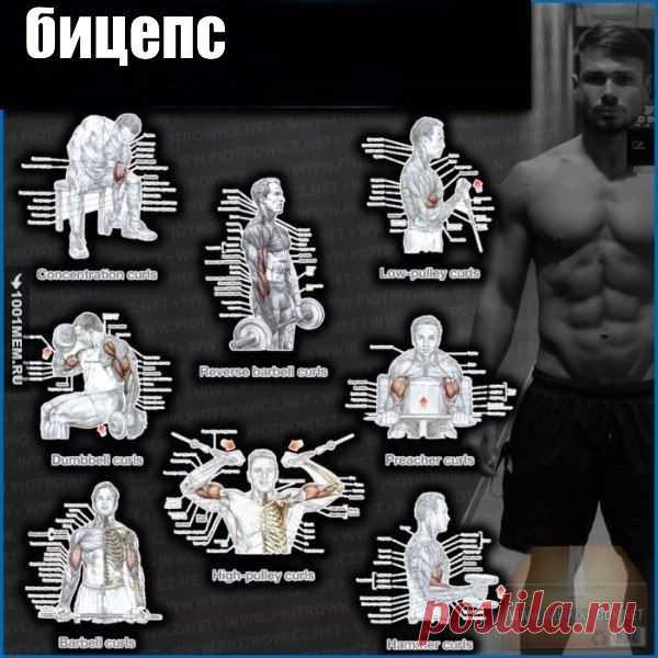 Полная прокачка всего тела  💪 / Спорт Сильных!