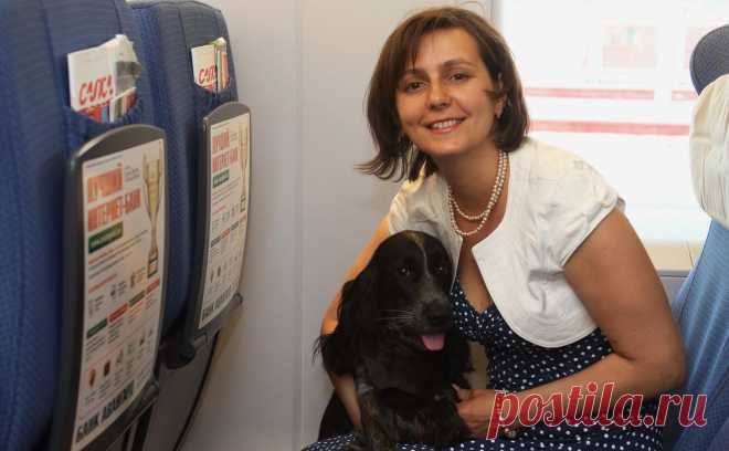 РЖД ввели значок о пассажирах с животными при покупке билета на поезд. РЖД для желающий купить билеты на поезд добавили функцию обозначения мест пассажиров, которые едут с животными, сообщила пресс-служба РЖД в своем телеграм-канале.
