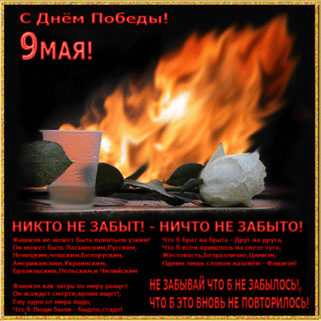 С праздником, дорогие мои друзья! С Днем Победы! Светлая память всем павшим в годы войны! Низкий поклон ветеранам! Оставайтесь с нами как можно дольше!