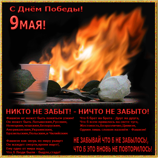 С праздником, дорогие мои друзья! С Днем Победы! Светлая память всем павшим в годы войны! Низкий поклон ветеранам! Оставайтесь с нами как можно дольше!
