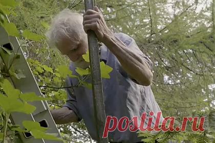 Проживший почти 40 лет у «Озера смерти» отшельник назвал причины своей изоляции. Отшельник из Великобритании рассказал, почему решил изолироваться от людей. 74-летний Кен Смит почти четыре десятилетия прожил на берегу озера Лох-Трейг («Озеро смерти») в Шотландии. Он отказался от благ цивилизации после того, как впал в кому и провел в ней почти месяц.