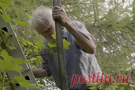 Проживший почти 40 лет у «Озера смерти» отшельник назвал причины своей изоляции. Отшельник из Великобритании рассказал, почему решил изолироваться от людей. 74-летний Кен Смит почти четыре десятилетия прожил на берегу озера Лох-Трейг («Озеро смерти») в Шотландии. Он отказался от благ цивилизации после того, как впал в кому и провел в ней почти месяц.