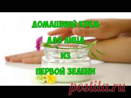 Домашний крем для лица из первой зелени. - YouTube