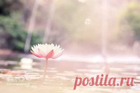 Больше, чем музыка. Осознание через музыку.