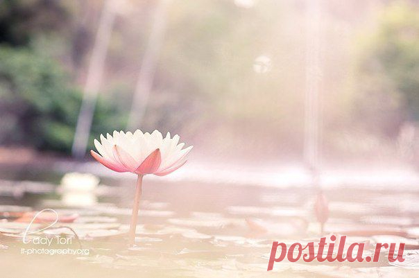 Больше, чем музыка. Осознание через музыку.