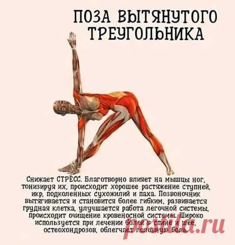 Поза йоги