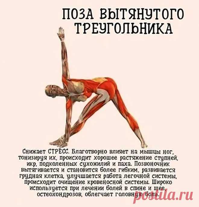 Поза йоги