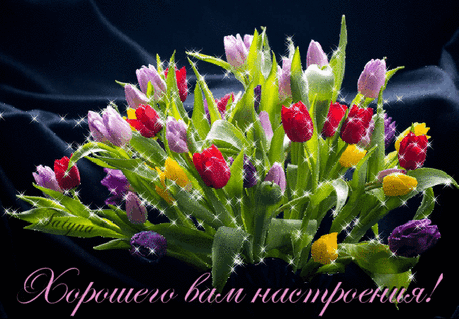 427684237566905.gif (648×450)