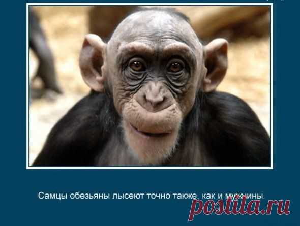 Занимательные факты и интересные фото
