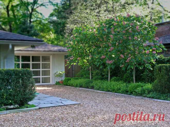 Расположение дома по сторонам света на участке, где построить дом на участке и какой формы, где должен быть вход