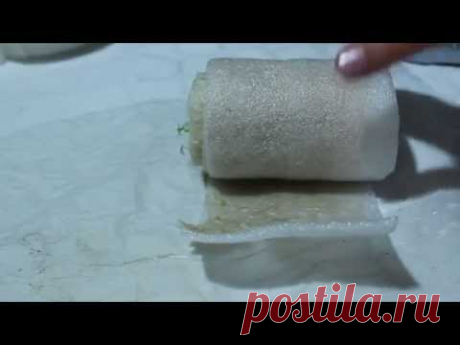 Новый способ проращивания семян и выращивания рассады в рулете. - YouTube