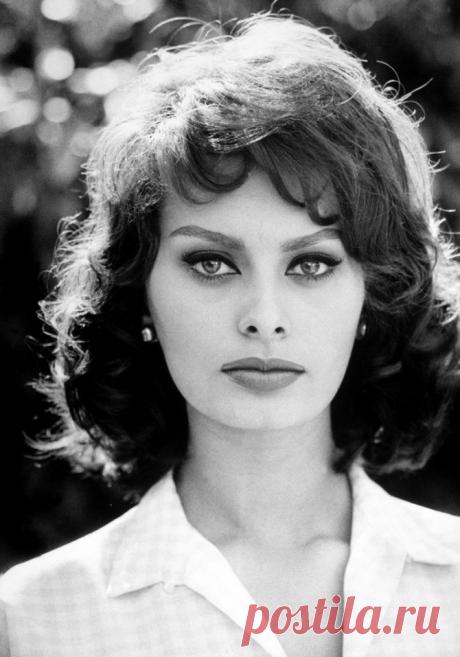 Маска от Софи Лорен: как сохранить молодость надолго