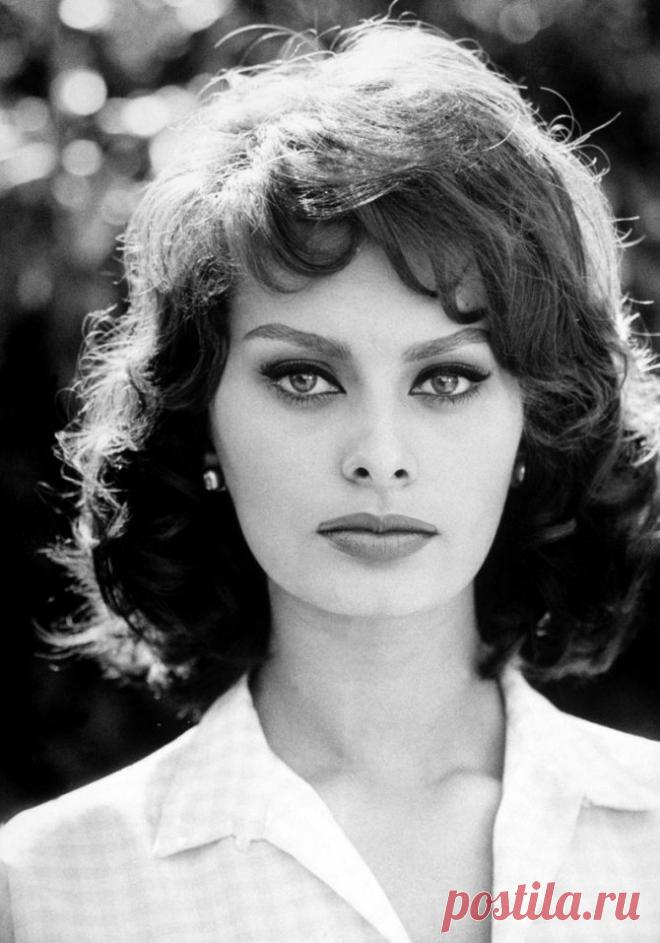 Маска от Софи Лорен: как сохранить молодость надолго