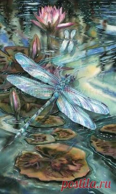 Jody Bergsma | wildlife animals
