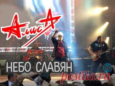 🇷🇺 Нас точит семя орды,
Нас гнет ярмо басурман,
Но в наших венах кипит
Небо славян.
И от Чудских берегов
До ледяной Колымы.
Все это наша земля!
Все это мы! 🌀