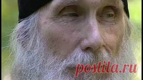 (20) Одноклассники